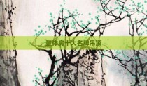 整体房十大名牌吊顶