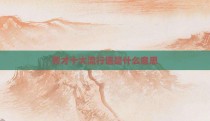 秀才十大流行语是什么意思