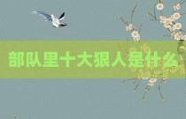 部队里十大狠人是什么
