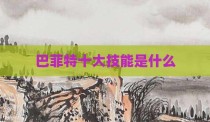 巴菲特十大技能是什么