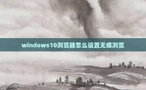 windows10浏览器怎么设置无痕浏览