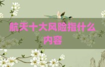 航天十大风险指什么内容