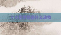十大恶梦都是什么动物