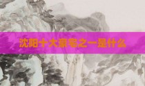 沈阳十大豪宅之一是什么