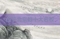 位于北京的十大名校