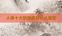人体十大软顽疾是什么意思