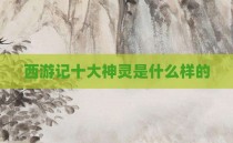 西游记十大神灵是什么样的
