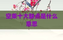 空乘十大缺点是什么意思