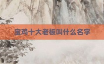 宝鸡十大老板叫什么名字