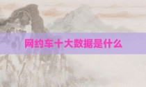 网约车十大数据是什么