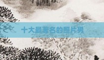 十大最著名的照片男