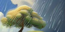 杏雨梨云怎么安装windows系统