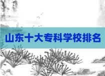山东十大专科学校排名