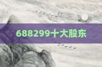 688299十大股东