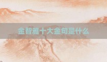 金智雅十大金句是什么