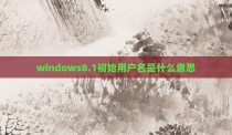 windows8.1初始用户名是什么意思