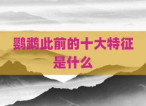 鹦鹉此前的十大特征是什么