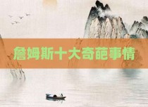 詹姆斯十大奇葩事情