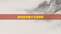 板材是中国十大名牌吗