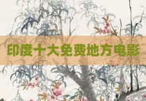印度十大免费地方电影