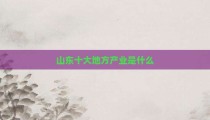 山东十大地方产业是什么