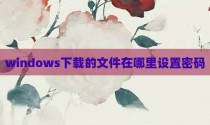 windows下载的文件在哪里设置密码