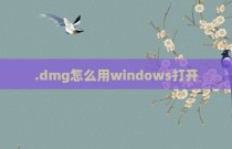 .dmg怎么用windows打开