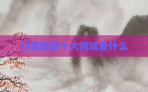 扫黑除恶十大领域是什么