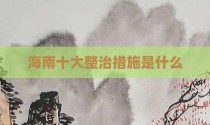 海南十大整治措施是什么