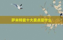 萨米特瓷十大卖点是什么
