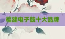 福建电子鼓十大品牌