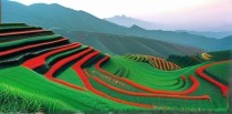 中国三个十大你知道吗