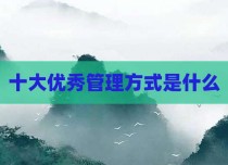 十大优秀管理方式是什么
