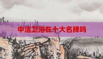 中洁卫浴在十大名牌吗