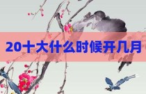 20十大什么时候开几月