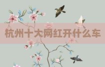 杭州十大网红开什么车