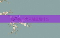 水浒传十大天魁星是什么