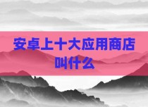 安卓上十大应用商店叫什么