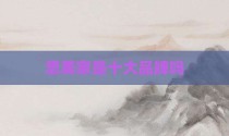 思美家是十大品牌吗