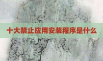 十大禁止应用安装程序是什么