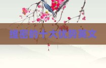 维密的十大优势英文