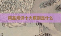 精益知识十大原则是什么