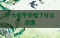 十大歌手领悟了什么道理