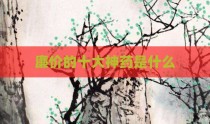 廉价的十大神药是什么