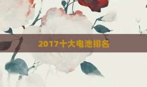 2017十大电池排名