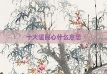 十大暖民心什么意思
