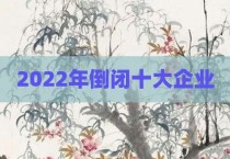 2022年倒闭十大企业