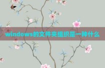 windows的文件夹组织是一种什么