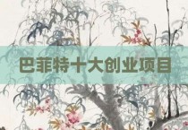 巴菲特十大创业项目