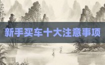 新手买车十大注意事项